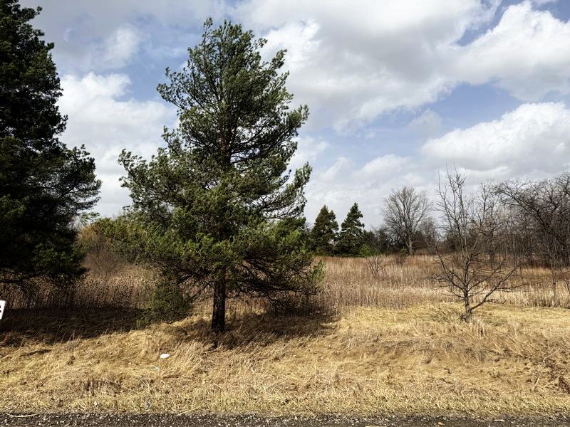 Genesee Hills Golf Course - March 15 2025 Photo